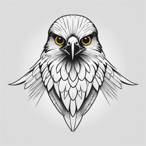 eagle illustration,eagle vector,gyrfalcon,eagle drawing,gryphon,tawny frogmouth owl,northern goshawk,gray eagle,owl background,owl,owl pattern,ferruginous hawk,owl art,saker falcon,lanner falcon,eagle head,eagle,coopers hawk,sparrow owl,boobook owl,Unique,Design,Logo Design