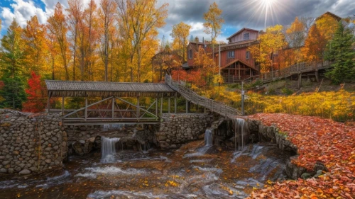 fall landscape,autumn scenery,colors of autumn,autumn landscape,aspen,water mill,vail,autumn background,autumn idyll,golden autumn,autumn colors,fall foliage,gooseberry falls,old mill,autumn in japan,autumn chores,autumn decor,autumn theme,autumn decoration,water wheel