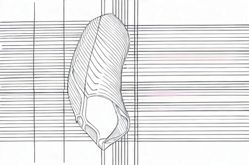 pointe shoe,technical drawing,design of the rims,frame drawing,stack-heel shoe,sheet drawing,leg disk,shoe sole,smoothing plane,heel shoe,ventilation grille,fence element,surfboard fin,pencil frame,walking shoe,stringed bowed instrument,cycling shoe,drawing trumpet,bicycle shoe,ballet shoe,Design Sketch,Design Sketch,Hand-drawn Line Art