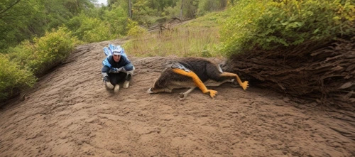trail riding,dirt jumping,trail running,dog hiking,singletrack,competitive trail riding,buried,adventure racing,mountain climbing,mushing,steep bank,mountain cur,canyoning,logging,creeking,road slide area,off-roading,digging,dog sled,plowing