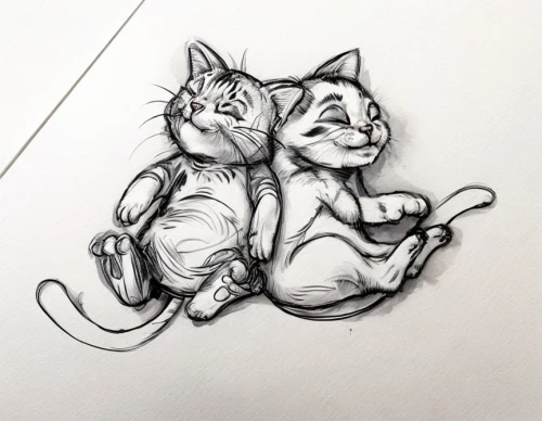 tom and jerry,cat and mouse,cat line art,mice,line art animals,cat-ketch,vintage mice,cat doodles,drawing cat,baby rats,two cats,cat drawings,rodents,kittens,cartoon cat,lilo,felines,rats,sciurus,line art animal