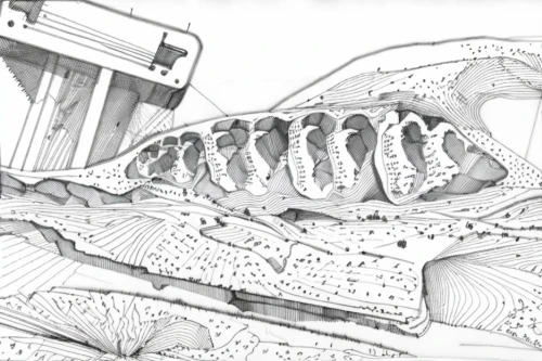 cross-section,mandible,skeleton sections,terrestrial vertebrate,fluvial landforms of streams,x-ray of the jaw,cross sections,babelomurex finchii,cross section,jaw,excavator,fish skeleton,crocodilia,fossil dunes,alligator clamp,topography,illustration,fossil,vertebrae,geological