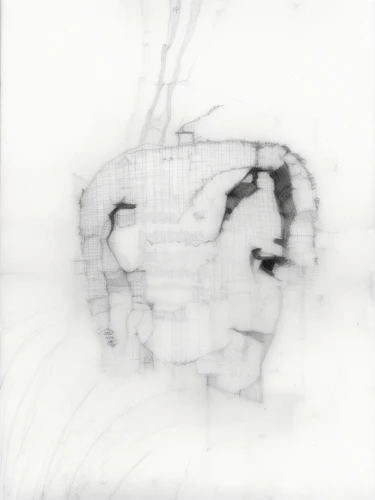 frame drawing,wireframe,biomechanical,pencil and paper,graphite,sheet drawing,wireframe graphics,respirator,x-ray,game drawing,fragmentation,line drawing,human heart,covid-19 mask,x-ray of the jaw,squared paper,klaus rinke's time field,gray-scale,sectioned,fragment