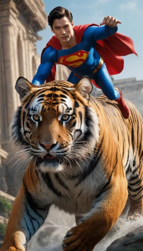 superman,super man,amurtiger,tiger png,tigerle,digital compositing,super hero,tiger,asian tiger,tigers,super dad,super power,photoshop creativity,bengalenuhu,cgi,to roar,leo,photoshop manipulation,super,king of the jungle,Photography,General,Natural
