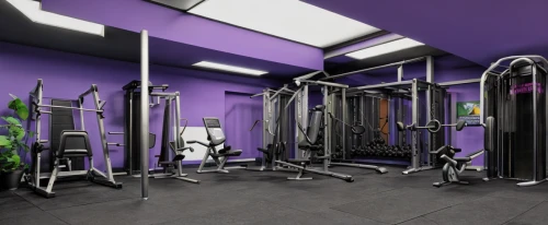 fitness room,fitness center,exercise equipment,workout equipment,training apparatus,weightlifting machine,leisure facility,strength athletics,gymnastics room,facility,workout items,3d rendering,search interior solutions,gym,wall,overhead press,exercise machine,free weight bar,fitness coach,garment racks