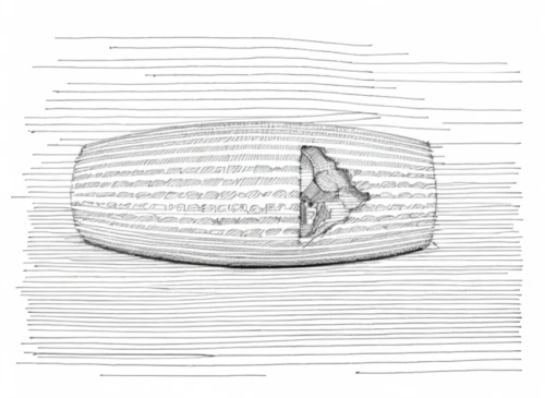 bottle surface,rope drum,paper boat,visor,barograph,blue sea shell pattern,apnea paper,cd cover,cockscomb,dorsal fin,two-handled sauceboat,nautical clip art,remora,lid,dugout canoe,camera illustration,double-walled glass,consommé cup,diaphragm,butter dish