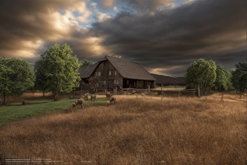 farmstead,rural landscape,home landscape,farm landscape,old barn,field barn,meadow landscape,red barn,log cabin,barn,country cottage,salt meadow landscape,barns,horse barn,wooden hut,log home,rustic,virtual landscape,landscape background,country side,Common,Common,Commercial