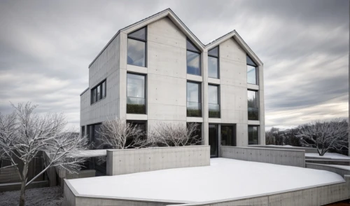 glass facade,snow roof,cubic house,cube house,snowhotel,winter house,modern architecture,snow house,structural glass,frosted glass pane,metal cladding,glass facades,modern house,snow shelter,kirrarchitecture,exposed concrete,archidaily,window film,frosted glass,reinforced concrete,Architecture,General,Modern,Elemental Architecture