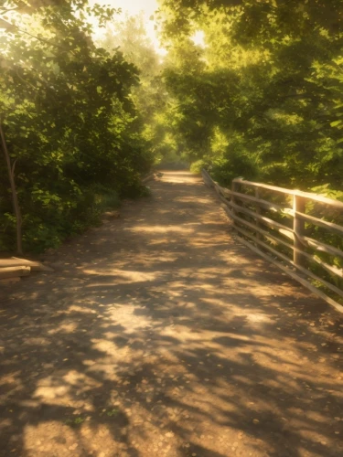 railroad trail,pathway,wooden bridge,bike path,wooden path,wooden track,nature trail,walkway,bicycle path,path,trail,hiking path,forest path,the path,vanishing point,tree lined path,appalachian trail,trails,the mystical path,country road,Game&Anime,Pixar 3D,Pixar 3D