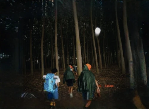 happy children playing in the forest,night scene,forest walk,walking in the rain,the park at night,dark park,little girls walking,shirakami-sanchi,fireflies,forest path,the woods,forest of dreams,photomanipulation,the forest,walk with the children,enchanted forest,cd cover,haunted forest,in the forest,promenade
