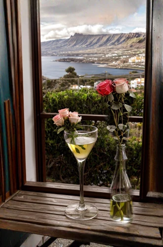 olive in the glass,table bay,falkland islands,martini glass,pisco sour,prawn cocktail,table bay harbour,a glass of,cocktail garnish,unique bar,window with sea view,shrimp cocktail,coctail,punta arenas,salt bar,pisco,vodka martini,cocktail glass,wine cocktail,appletini