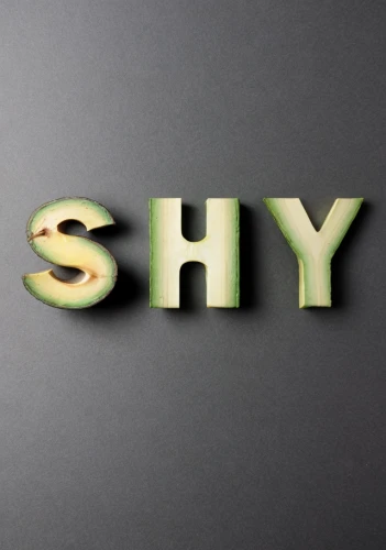 shy,skyr,shibuyasky,typography,skype logo,sphynx,shopify,clay animation,logotype,spy,stylized,stay,say shape,stylistic,logo header,shrub celery,wood type,shenyang,stir-fry,summer savory,Realistic,Foods,None