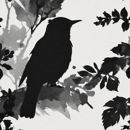 brewer's blackbird,crow in silhouette,bird illustration,crow,bird painting,nocturnal bird,blackbird,crows bird,grackle,black bird,bird on branch,crows,black crow,crow-like bird,corvid,corvidae,bird on the tree,american crow,bird drawing,magpie,Illustration,Black and White,Black and White 33