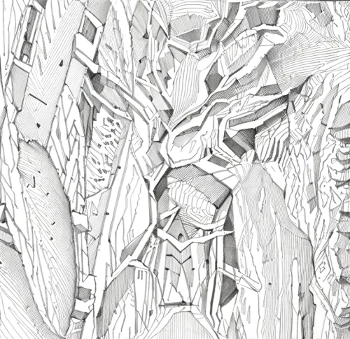 plant veins,arachnid,tangle-web spider,arthropod,mandelbulb,spines,arthropods,termite,skeleton leaves,exoskeleton,wireframe graphics,geoemydidae,skeletal,wireframe,harvestmen,mantidae,botanical line art,biomechanical,spider,skeleton