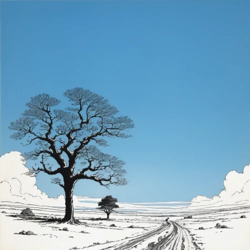 snow landscape,winter landscape,lone tree,snow fields,isolated tree,bare tree,bare trees,snowy landscape,snow tree,snow trees,snow scene,winter tree,snowy tree,ice landscape,snowfield,treemsnow,wintry,copse,tree white,winter background,Illustration,Black and White,Black and White 17