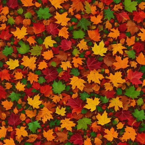 autumn pattern,autumn leaf paper,colored leaves,fall leaf border,colorful leaves,autumn background,thanksgiving background,autumn plaid pattern,autumnal leaves,leaf background,autumn leaves,reddish autumn leaves,fall leaves,fall foliage,autumn foliage,floral digital background,maple foliage,maple leaves,spring leaf background,fallen leaves,Photography,Artistic Photography,Artistic Photography 10