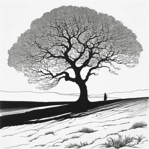 isolated tree,lone tree,old tree silhouette,tree silhouette,namib,the japanese tree,namib rand,vinegar tree,oak tree,argan tree,bodhi tree,the branches of the tree,cool woodblock images,argan trees,cardstock tree,tree of life,bare tree,a tree,ash tree,tree,Illustration,Black and White,Black and White 24