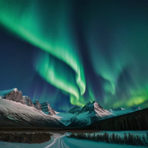 northen lights,norther lights,auroras,the northern lights,northern light,nothern lights,northern lights,green aurora,aurora borealis,northen light,polar lights,northernlight,borealis,polar aurora,aurora,baffin island,greenland,aurora polar,southern aurora,aurora colors,Photography,General,Natural