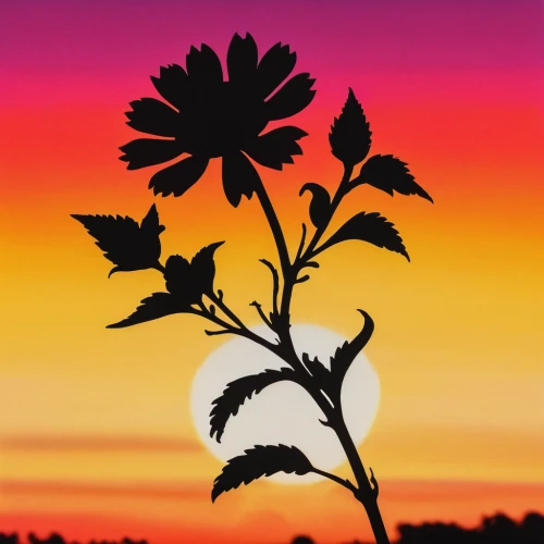 retro flower silhouette,flower in sunset,fireweed,african daisy,joe pye weed,ironweed,heracleum (plant),silhouette art,knapweed,sweet joe pye weed,flame flower,flower illustrative,coneflower,flower painting,art silhouette,watercolor leaves,flower background,south african daisy,fire flower,chrysanthemum background,Art,Classical Oil Painting,Classical Oil Painting 39