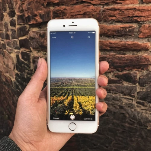 corona app,iphone 6s plus,iphone 7 plus,apple iphone 6s,mobile camera,the app on phone,iphone x,landscape background,360 ° panorama,facebook pixel,polar a360,farm background,iphone 7,ios,grain field panorama,iphone 6s,iphone 6 plus,virtual landscape,the pictures of the drone,photographic background,Illustration,Retro,Retro 06