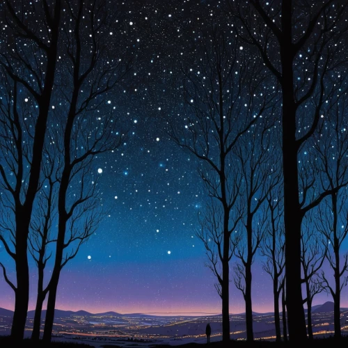 starry sky,the night sky,night sky,nightsky,night stars,starry night,hanging stars,night scene,star sky,landscape background,stargazing,the stars,starfield,background vector,falling stars,starscape,clear night,moon and star background,nightscape,stars,Illustration,American Style,American Style 14