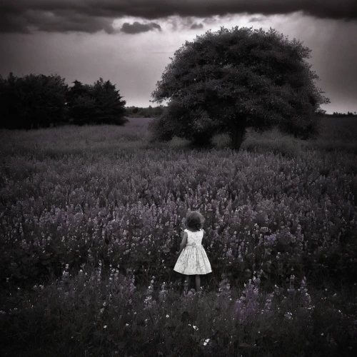 girl with tree,little girl in wind,the girl next to the tree,meadow play,little girl in pink dress,photographing children,conceptual photography,meadow,lonely child,little girl with umbrella,the little girl,monochrome photography,isolated,loneliness,wild meadow,innocence,mirror in the meadow,lone tree,little girl running,solitary,Photography,Black and white photography,Black and White Photography 02