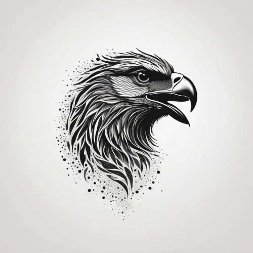 eagle illustration,eagle vector,eagle drawing,eagle,eagle head,eagle eastern,gray eagle,vector graphic,phoenix rooster,eagle silhouette,bird illustration,automotive decal,vector illustration,gryphon,imperial eagle,mongolian eagle,raven rook,vector graphics,african eagle,vector image,Illustration,Black and White,Black and White 09