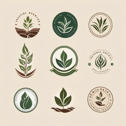 leaf icons,garden herbs,icon set,plant community,solomon's seal,coffee icons,circle icons,fruits icons,plants,small plants,little plants,house plants,fruit icons,set of icons,garden plants,coffee tea illustration,growth icon,vintage anise green background,wreath vector,botanical line art,Unique,Design,Logo Design