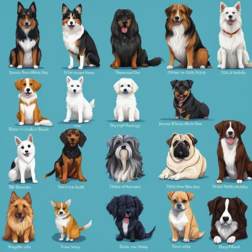 ancient dog breeds,dog breed,dog pure-breed,giant dog breed,animal icons,canines,pointing breed,color dogs,animal stickers,dogs,icon set,rescue dogs,pet adoption,small breed,animal shelter,dog frame,kennel club,dog illustration,set of icons,mixed breed,Illustration,Paper based,Paper Based 15