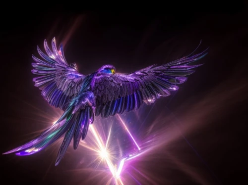 archangel,the archangel,angel wing,wing purple,angel wings,business angel,winged heart,winged,angelology,purple,wings,phoenix,angel figure,nebula guardian,dark angel,angel,harpy,uriel,fallen angel,guardian angel