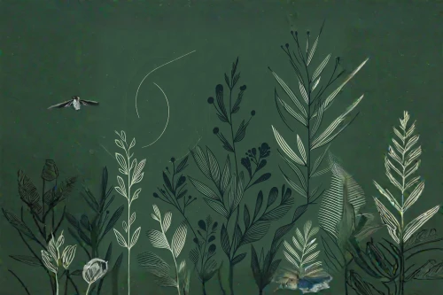 aquatic plants,forest fish,flower and bird illustration,aquatic plant,pond plants,bird illustration,aquatic herb,illustration,aquarium inhabitants,wetland,underwater background,book illustration,mermaid background,fireflies,aquarium,teal digital background,sea arrowgrass,junshan yinzhen,han thom,hunting scene