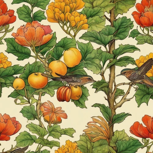 botanical print,orange floral paper,robins in a winter garden,old world oriole,flower and bird illustration,bird robins,vintage wallpaper,redstart,rosehips,fruit pattern,apricots,floral pattern,vintage print,oriole,roses pattern,magnolia warbler,bird pattern,birds on a branch,background pattern,floral ornament,Illustration,Retro,Retro 19