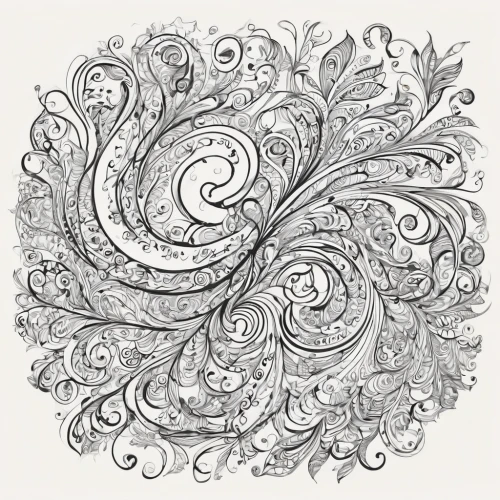 paisley pattern,paisley digital background,whirlpool pattern,swirls,indian paisley pattern,coral swirl,spiral pattern,flora abstract scrolls,vector spiral notebook,line art wreath,seamless pattern repeat,floral pattern paper,roses pattern,spirals,seamless pattern,paisley,flower line art,swirl,coloring page,damask paper,Illustration,Black and White,Black and White 05