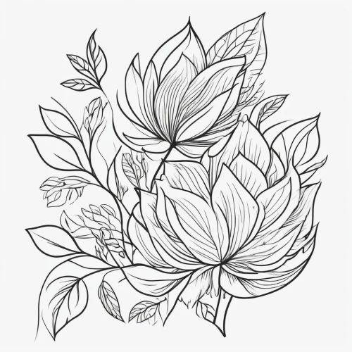 flower line art,botanical line art,mandala flower illustration,foliage coloring,flower illustration,flower drawing,mandala flower drawing,flowers png,coloring page,rose flower illustration,coloring pages,lotus art drawing,lotus leaf,leaf drawing,flower illustrative,rose flower drawing,carnation coloring,embroidered leaves,floral border paper,illustration of the flowers,Illustration,Black and White,Black and White 04