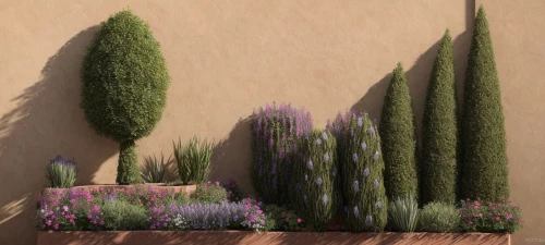 lavandula,desert plants,cacti,lavenders,succulents,small plants,egyptian lavender,cactus,vegetables landscape,desert plant,french lavender,landscaping,wall,plants,climbing garden,garden plants,flower border,english lavender,3d rendering,flowering plants,Landscape,Garden,Garden Design,Mediterranean Courtyard