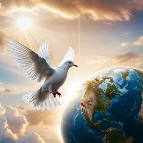 dove of peace,doves of peace,peace dove,holy spirit,global oneness,white dove,loveourplanet,doves and pigeons,migratory bird,beautiful dove,divine healing energy,pigeons and doves,doves,pigeon flying,migratory birds,white grey pigeon,dove,pentecost,bird in flight,freedom from the heart,Photography,General,Natural