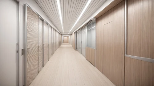 hallway space,walk-in closet,hallway,corridor,jet bridge,room divider,daylighting,laminated wood,3d rendering,prefabricated buildings,recessed,capsule hotel,aircraft cabin,sliding door,under-cabinet lighting,metallic door,render,search interior solutions,hinged doors,school design,Commercial Space,Working Space,Minimal Chic