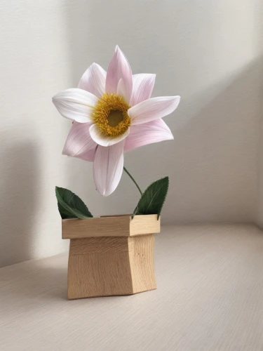 wooden flower pot,place card holder,japanese anemone,anemone japonica,wood flower,paper flower background,minimalist flowers,ikebana,place card,calystegia sepium,anemone honorine jobert,two-tone flower,wood and flowers,lotus ffflower,single flower,student flower,magnolia flower,wooden mockup,artificial flower,desk organizer,Common,Common,Natural