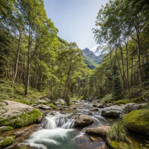 berchtesgaden national park,verzasca valley,cabrales,mountain stream,asturias,pyrenees,mountain spring,transfogarska,eastern pyrenees,canton of glarus,the val fiscalina,riparian forest,the chubu sangaku national park,slowinski national park,western tatras,tatra mountains,tropical and subtropical coniferous forests,mountain river,valle d'aosta,yakushima,Landscape,Landscape design,Landscape space types,Natural Landscapes