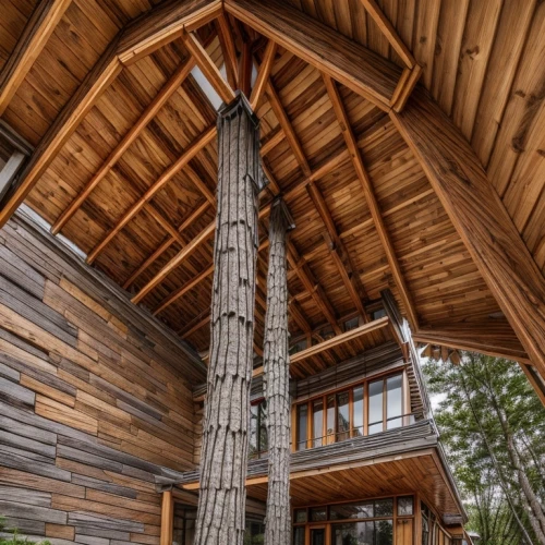 tree house hotel,timber house,log home,log cabin,wood structure,wooden beams,treehouse,tree house,outdoor structure,wooden construction,stilt house,the cabin in the mountains,wooden roof,wooden poles,wooden sauna,western yellow pine,wooden house,chalet,wood deck,roof structures,Architecture,Industrial Building,Nordic,Nordic Vernacular