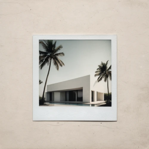 white frame,beach house,stucco frame,tropical house,beachhouse,gold stucco frame,white palm,palm field,coconut palms,photo frame,palm pasture,lubitel 2,white room,white buildings,botanical square frame,square frame,polaroid,color frame,the palm,retro frame,Photography,Documentary Photography,Documentary Photography 03