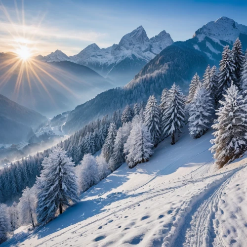 snow landscape,winter landscape,landscape mountains alps,ortler winter,snowy landscape,alpine region,the alps,south tyrol,southeast switzerland,dolomites,winter background,winter light,alps,high alps,eastern switzerland,winter magic,east tyrol,winter morning,berchtesgaden national park,swiss alps,Photography,General,Natural