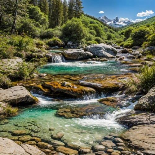 mountain spring,mountain stream,flowing creek,flowing water,mountain river,streams,united states national park,water flowing,slowinski national park,wild water,source de la sorgue,lassen volcanic national park,water flow,green trees with water,upper water,river landscape,pyrenees,huka river,yosemite national park,northern california,Landscape,Landscape design,Landscape space types,Natural Landscapes