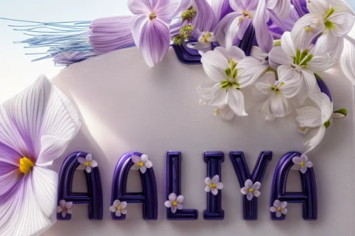 malva,birthday background,halva,decorative letters,ḡalyān,a cake,birthday banner background,easter cake,alka,cake decorating,al ain,taro cake,halina 6-4,baby shower cake,vintage lavender background,birthday cake,cake wreath,altay,eid-al-adha,halina camera,Realistic,Flower,Lilac