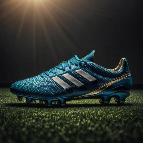 football boots,soccer cleat,crampons,vapors,football equipment,athletic shoe,track spikes,sports shoe,blades of grass,grass blades,cleat,athletic shoes,sports shoes,american football cleat,artificial turf,sport shoes,predators,active footwear,outdoor shoe,newtons,Photography,General,Natural
