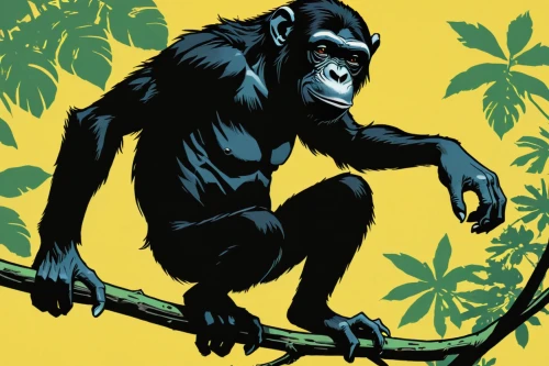 gorilla,common chimpanzee,chimpanzee,chimp,cercopithecus neglectus,great apes,ape,primate,monkey banana,bonobo,monkey wrench,silverback,the monkey,tarzan,monkey island,kong,monkey gang,monkeys band,siamang,monkey,Illustration,Vector,Vector 11