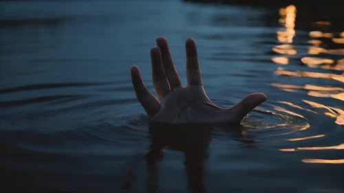drowning,arms outstretched,submerged,drown,submerge,praying hands,your hands are wet,the body of water,sinking,sunken,in water,the people in the sea,human hands,grasping,water surface,the night of kupala,human hand,reach out,hands,body of water
