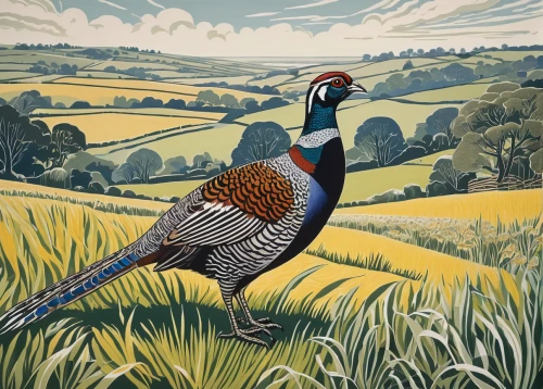 pheasant,guinea fowl,partridge,common pheasant,pheasant's-eye,ring necked pheasant,st martin's day goose,ring-necked pheasant,summer plumage,victoria crown pigeon,grouse,prince of wales feathers,field pigeon,david bates,landfowl,great chalfield,bobwhite,carol colman,gamekeeper,portrait of a hen,Art,Artistic Painting,Artistic Painting 50