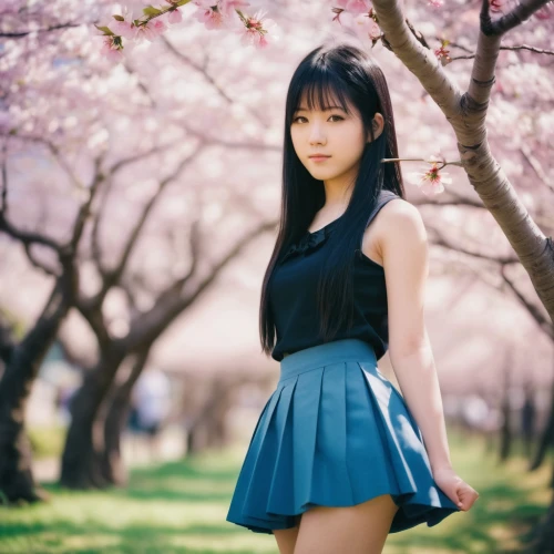 japanese sakura background,japanese idol,gravure idol,japanese floral background,sakura background,spring background,青龙菜,sakura flower,sakura blossom,sakura,springtime background,takato cherry blossoms,sakura flowers,chidori is the cherry blossoms,flower background,sakura blossoms,cherry blossom,floral background,beautiful girl with flowers,spring blossom,Photography,Documentary Photography,Documentary Photography 01