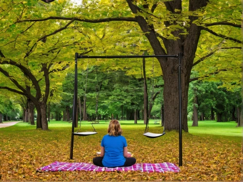 garden swing,swing set,mirror in the meadow,tree with swing,empty swing,wooden swing,tree swing,hanging swing,round autumn frame,fall picture frame,mirror house,parabolic mirror,wood mirror,half lotus tree pose,hanging chair,mirror frame,botanical square frame,yoga mats,qi gong,autumn frame,Photography,Documentary Photography,Documentary Photography 29